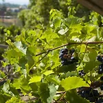 Antico Borgo Etneo Country Calatabiano