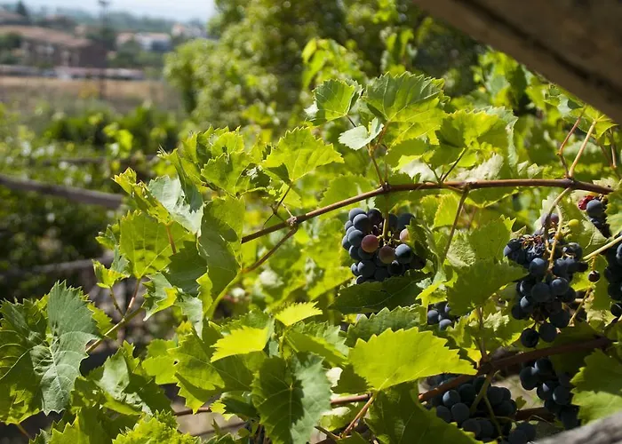 Antico Borgo Etneo Country Calatabiano