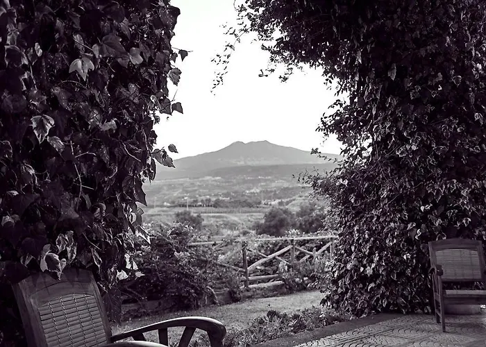 Antico Borgo Etneo Country Κατάλυμα σε φάρμα *