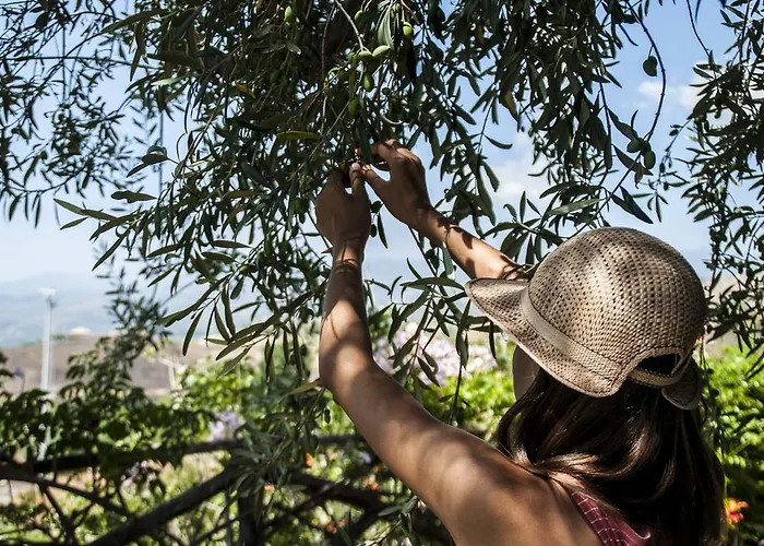 Antico Borgo Etneo Country Calatabiano